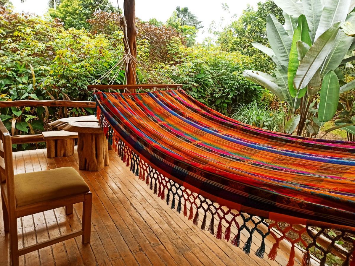 Rio Napo Lodge Puerto Misahuallí Kültér fotó